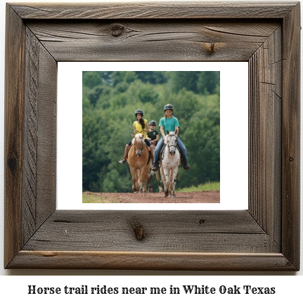 horse trail rides near me in White Oak, Texas